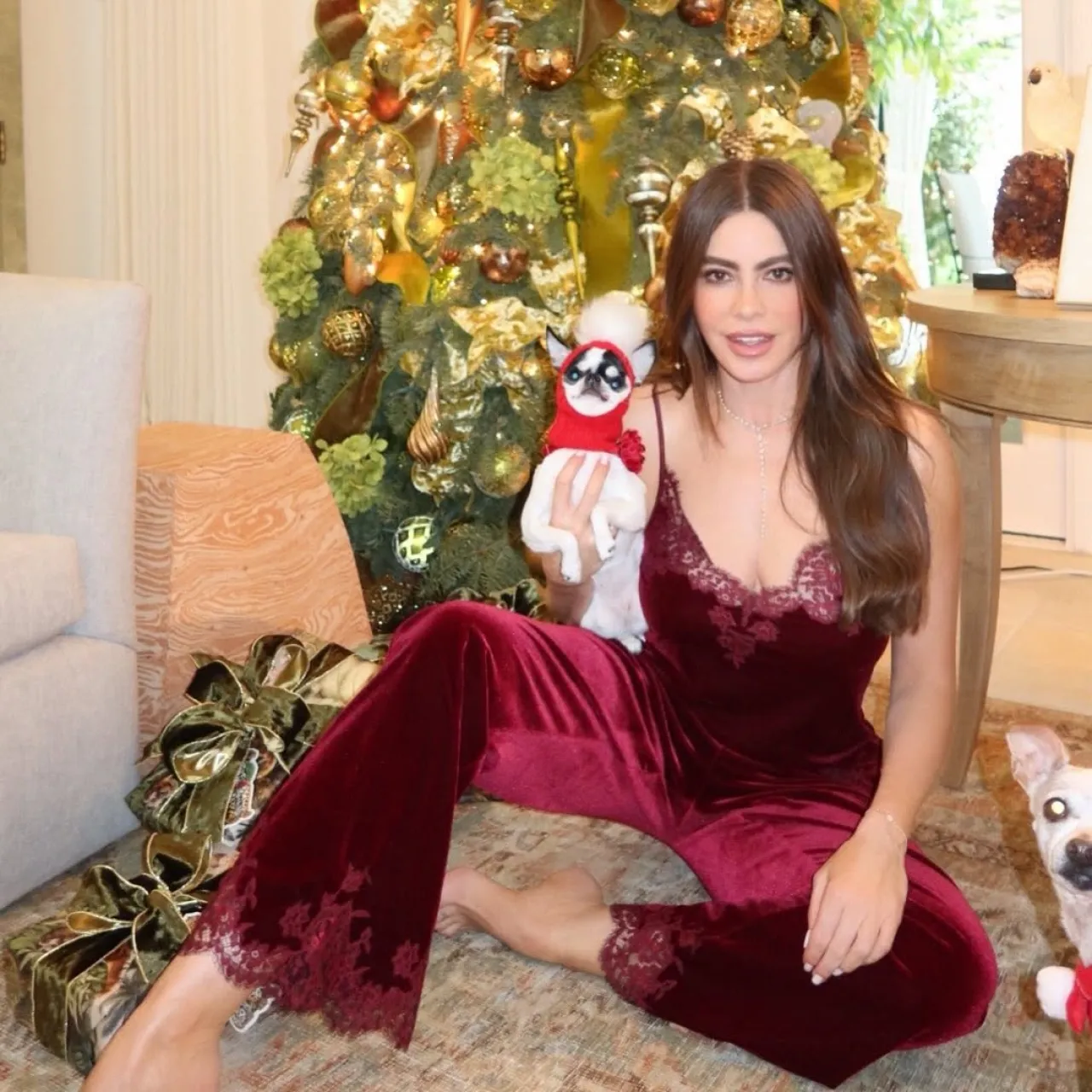 Sofía Vergara Shares Heartfelt Christmas Greeting with Fans